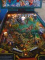 /album/taito-shark/shark-5-jpg/